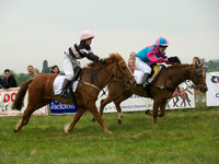 Pony 1 -  13
