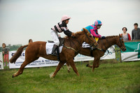 Pony 1 -  14