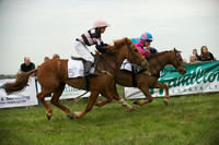 Pony 1 -  15