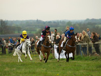 Pony 1 -  16