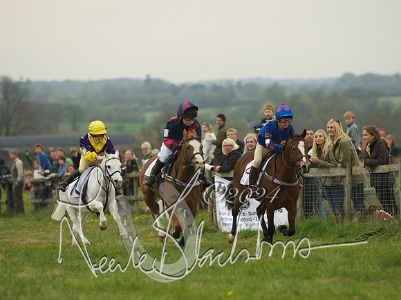 Pony 1 -  16
