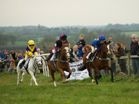 Pony 1 -  17