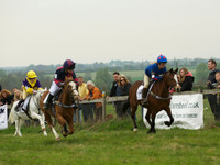 Pony 1 -  18