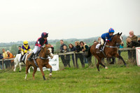 Pony 1 -  20