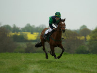 Pony Races