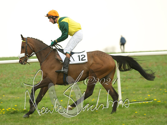Restricted -  14