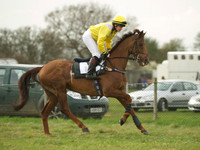Ladies - 16