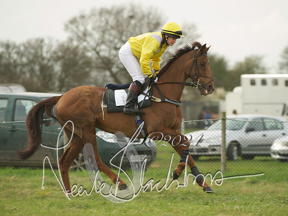Ladies - 16