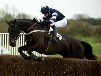 Novice Riders