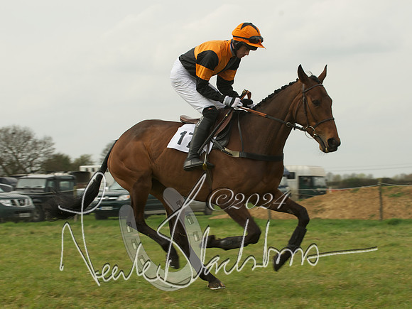 Open Maiden - 15