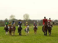 Ponies - 1