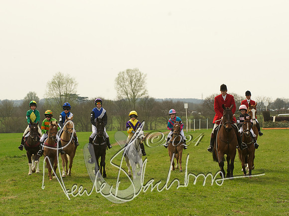Ponies - 1