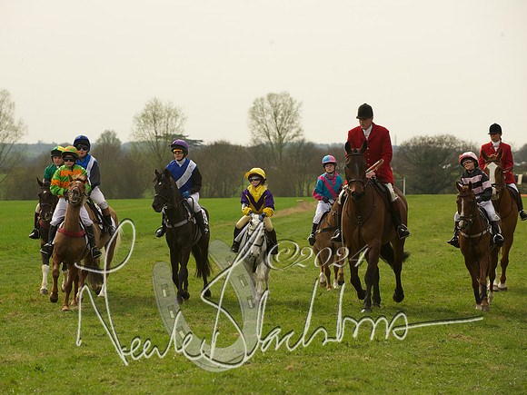 Ponies - 2