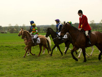 Ponies - 3