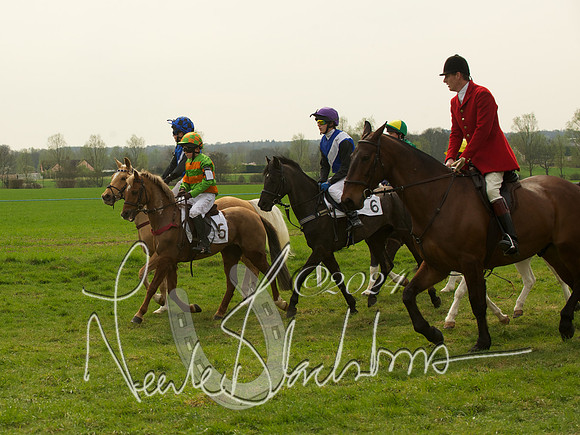 Ponies - 3