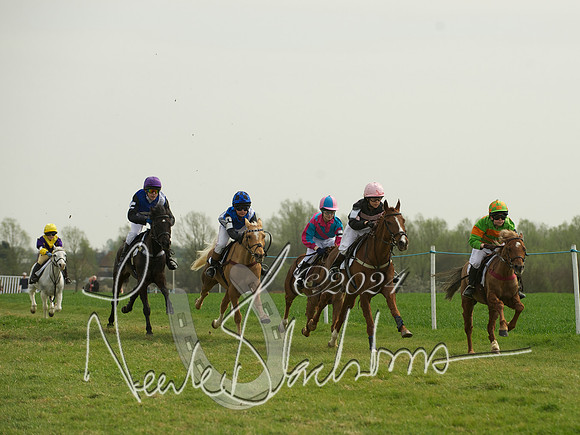 Ponies - 4