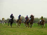 Ponies - 5