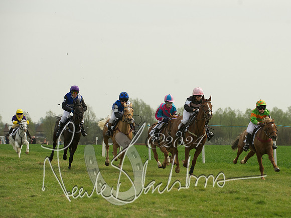 Ponies - 5