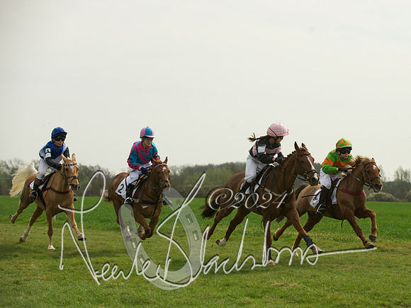 Ponies - 6