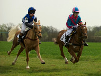 Ponies - 7