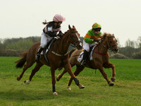 Ponies - 8