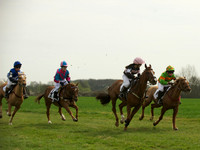 Ponies - 9