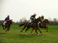 Ponies - 11