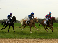 Ponies - 12