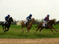 Ponies - 13
