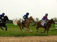 Ponies - 14