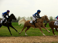 Ponies - 15