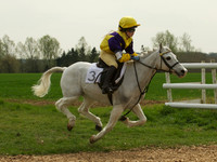 Ponies - 16