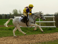 Ponies - 17