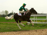 Ponies - 18
