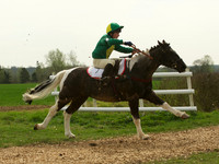 Ponies - 19