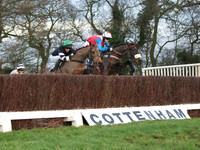 CHHC - Young Horse Maiden Division 2