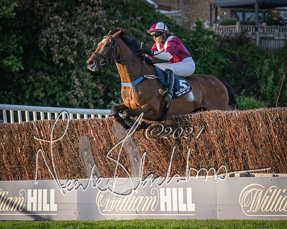 Race 5 - tipsterreviews.co.uk handicap (29 of 107)