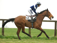 Maiden 8
