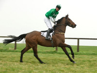 Maiden 14