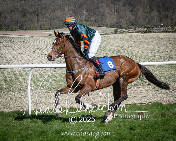 Race 5 - The restricted (38 of 113)