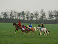 Pony Races