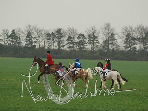 Pony Race 1 -  1