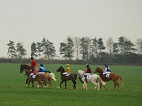 Pony Race 1 -  2