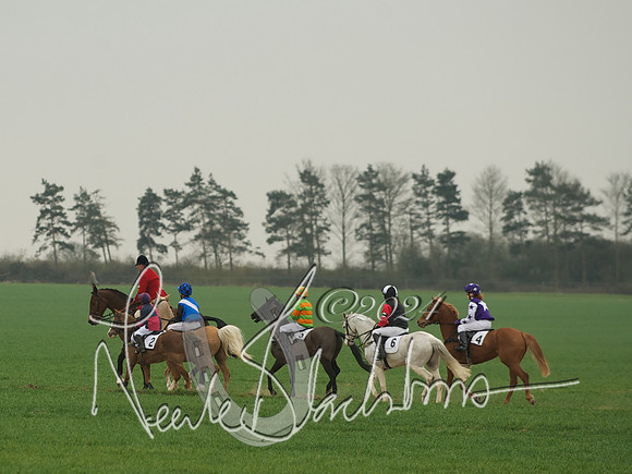 Pony Race 1 -  2