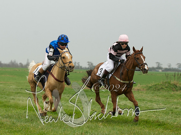 Pony Race 1 -  3