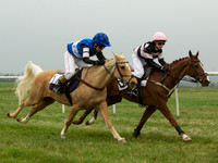 Pony Race 1 -  6
