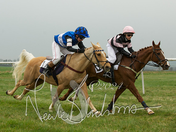 Pony Race 1 -  6