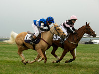 Pony Race 1 -  7