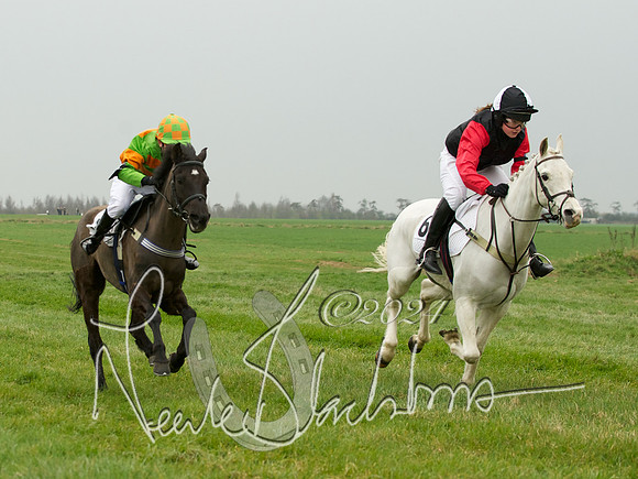 Pony Race 1 -  14