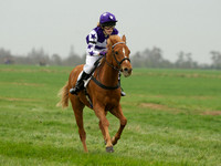 Pony Race 1 -  16